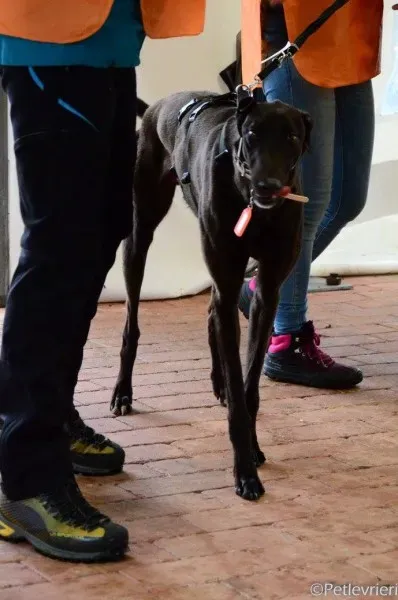 17098105 1291029727647546 7252883189436529758 o