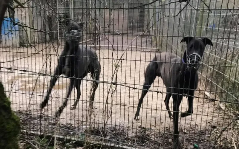 17098448 10210599222609296 937887472768028603 n 1