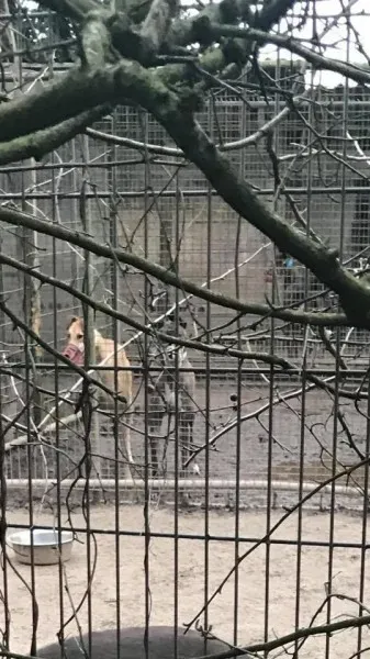 17098614 10210599220609246 7627849330151979883 n