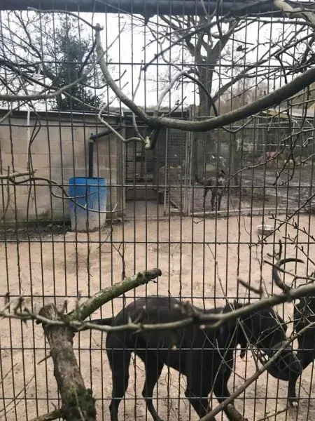 17103582 10210599221689273 4682139190529988114 n