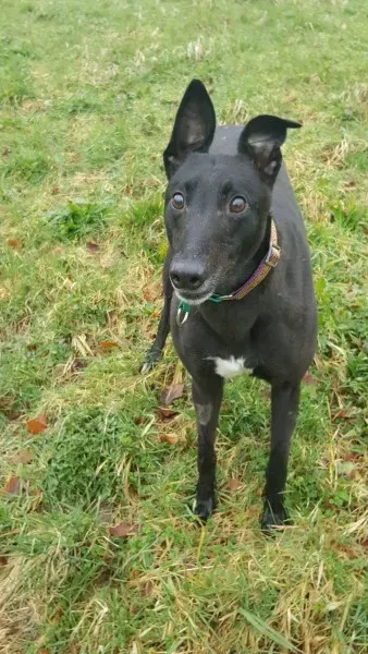 17142451 10210904492141881 1452055190 o