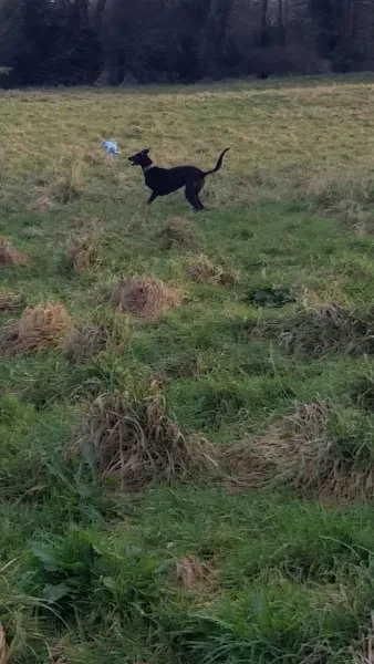 17142520 10210904464981202 278431795 o