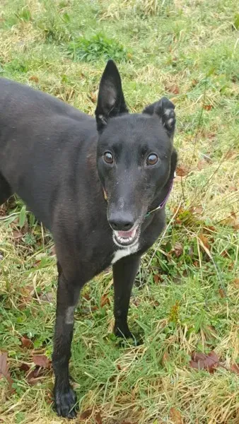 17149028 10210904484381687 904413547 o