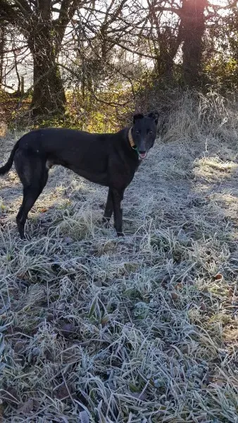 17149066 10210904455260959 2084127533 o