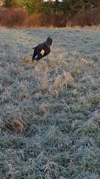 17149077 10210904449380812 1529829522 o