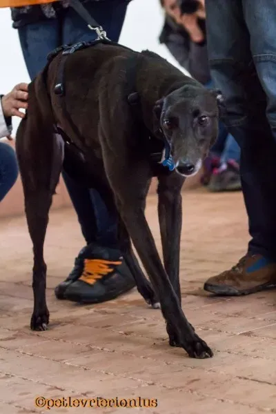 17158865 1291331020950750 7136403055490366481 o