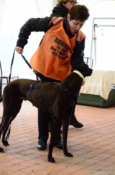 17158878 1291030537647465 8029948334648326938 o