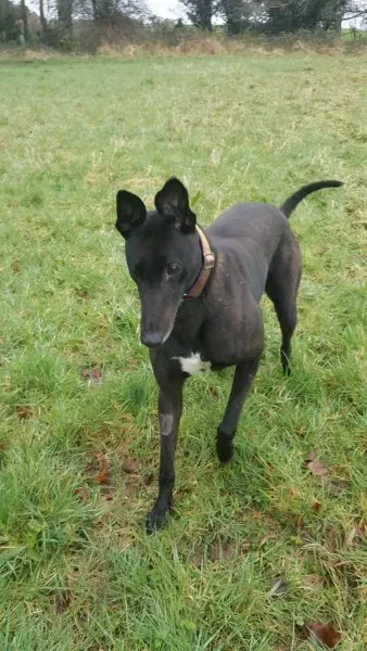 17175986 10210904492461889 1099056689 o