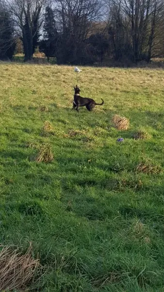 17176337 10210904463061154 1437624203 o