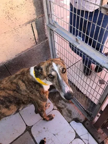 17190512 1295768597173659 2804524662785082997 n