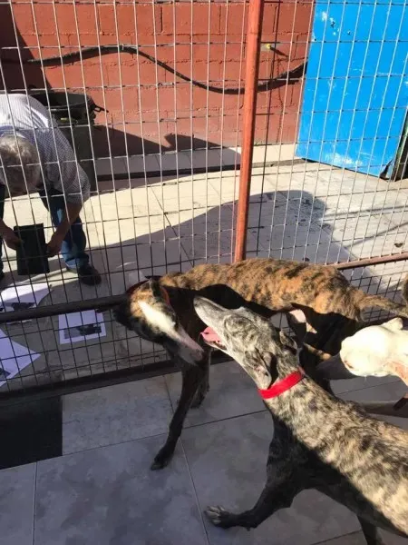 17191084 1295769080506944 9137706364115437496 n