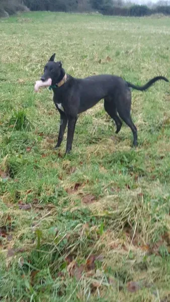 17193830 10210904485221708 1588589092 o