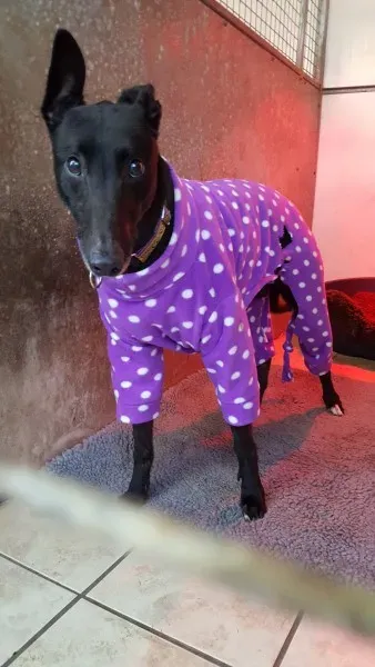 17193941 10210904443700670 1862431126 o