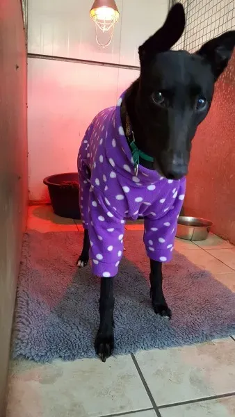 17200275 10210904440180582 1427810056 o