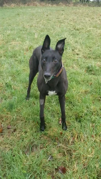 17200352 10210904483981677 239214129 o