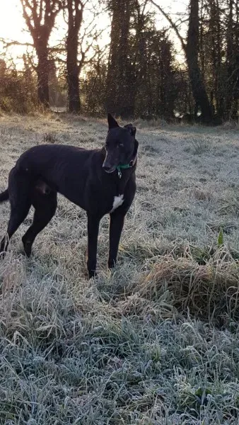 17200467 10210904446980752 886006873 o