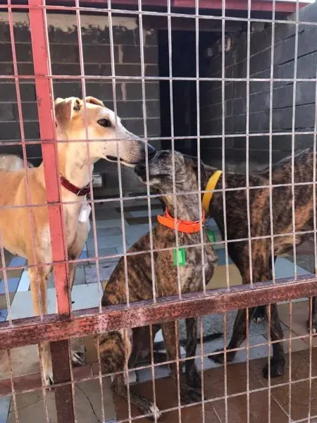 17203183 1295768860506966 6457268823071526584 n