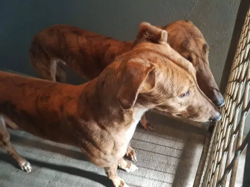 17269209 10210971928827756 1112350641 o