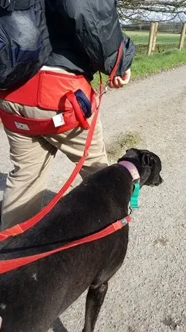 17274418 10210984170693795 527995402 n