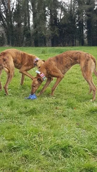 17274491 10210983156868450 1323361601 n