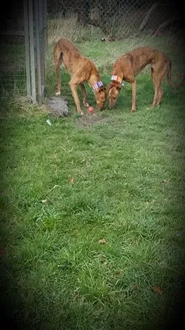 17274504 10210983792164332 209447969 n