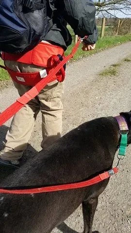 17274621 10210984170573792 1490694578 n