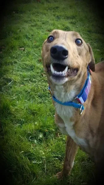 17274844 10210983778483990 703325306 n