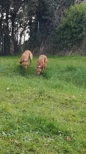 17275032 10210983162148582 672428655 n