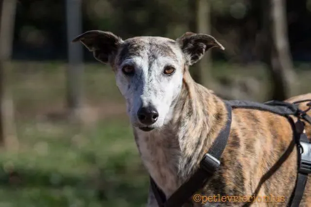 17308812 398980003807504 147924404520640981 n