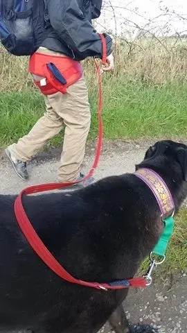 17327840 10210984170893800 908516217 n