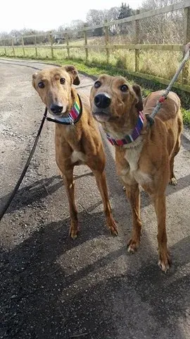 17328110 10210980065431166 1092357119 n