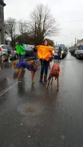 17342777 1303327766417742 2418874341013509145 n