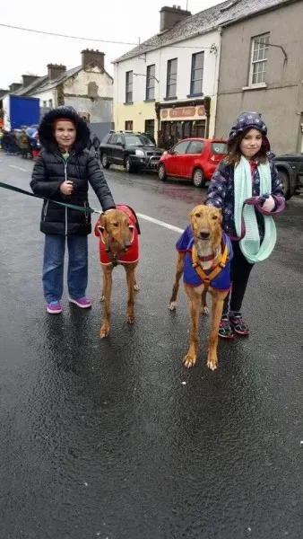 17342793 1303327769751075 2364236166100923181 n