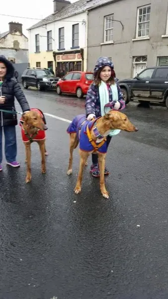 17342898 1303327776417741 103697523622865869 n