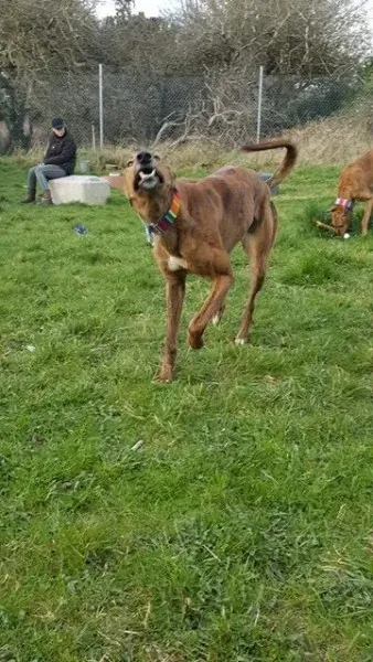 17350935 10210983162628594 1033870692 n