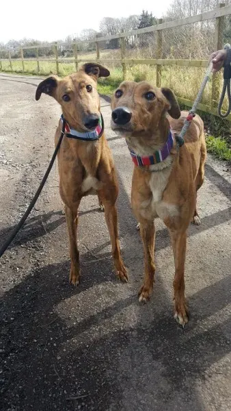 17351070 10210983766523691 1316679560 n