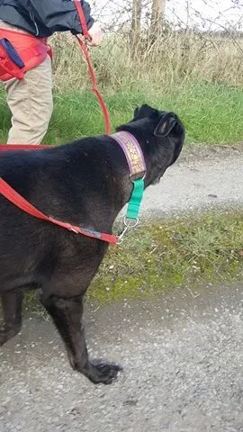 17351200 10210984171613818 501517537 n