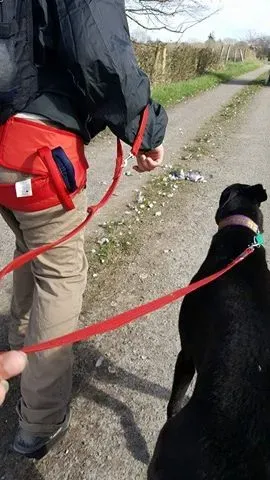 17352668 10210984171133806 1069401268 n