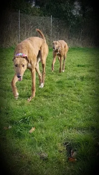 17352835 10210983167788723 465170148 n