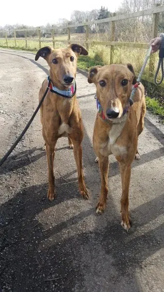 17352914 10210983769883775 1941712658 n