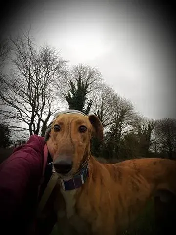 17354695 10210992945633163 47593423 n