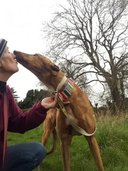 17354924 10210992939233003 838125046 n