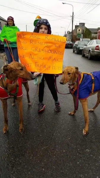 17361843 1303327759751076 7612476820980659346 n