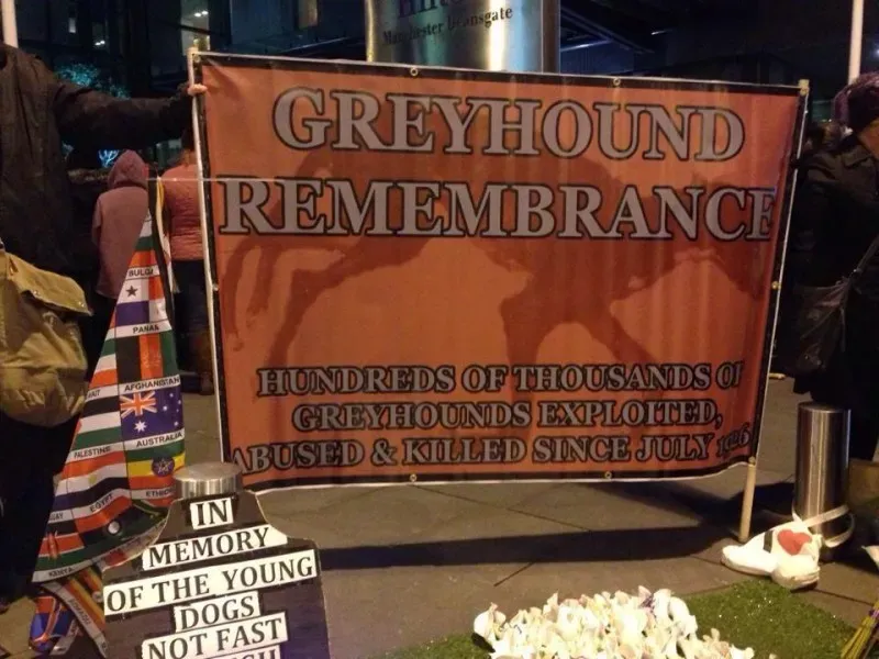 1743181 580598848698389 743603731 n