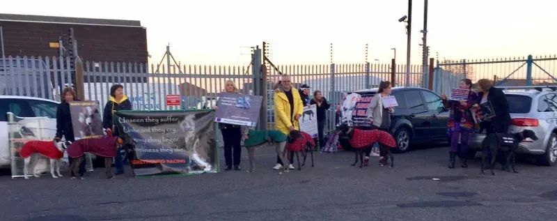 17434493 10210529735153900 5791237118642755225 o 1