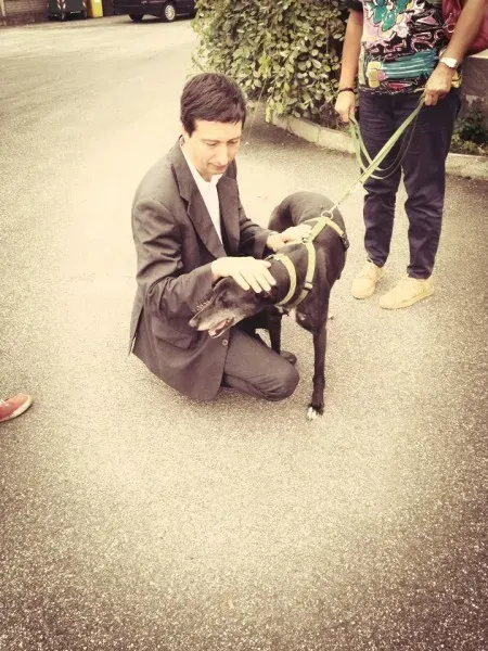 1743486 862724693745586 6195759132031997057 n