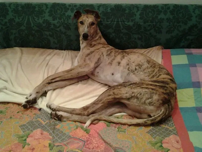 1743514 209484272745667 5069936156900843844 n