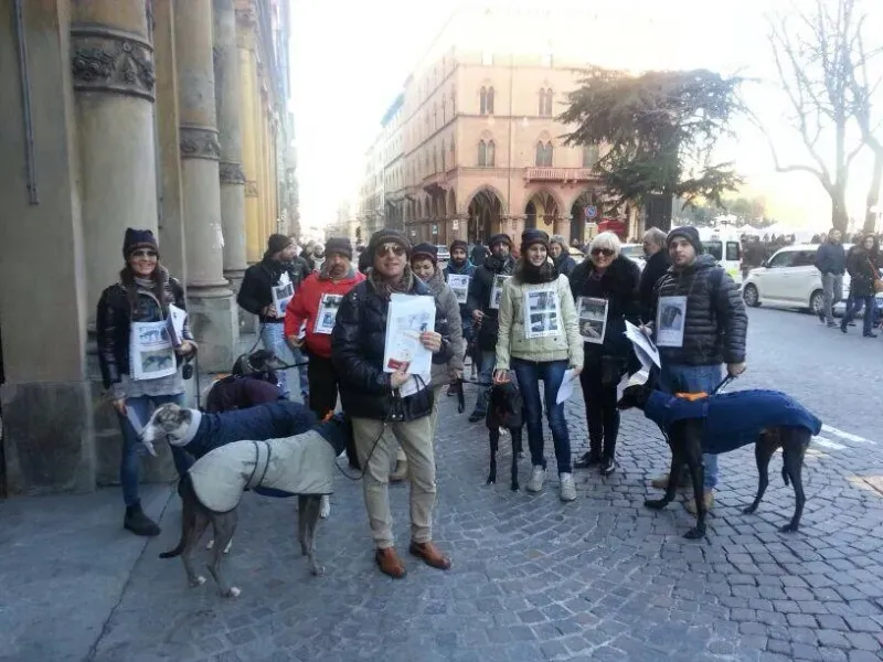 1743563 10201790282011166 1628626592 n1