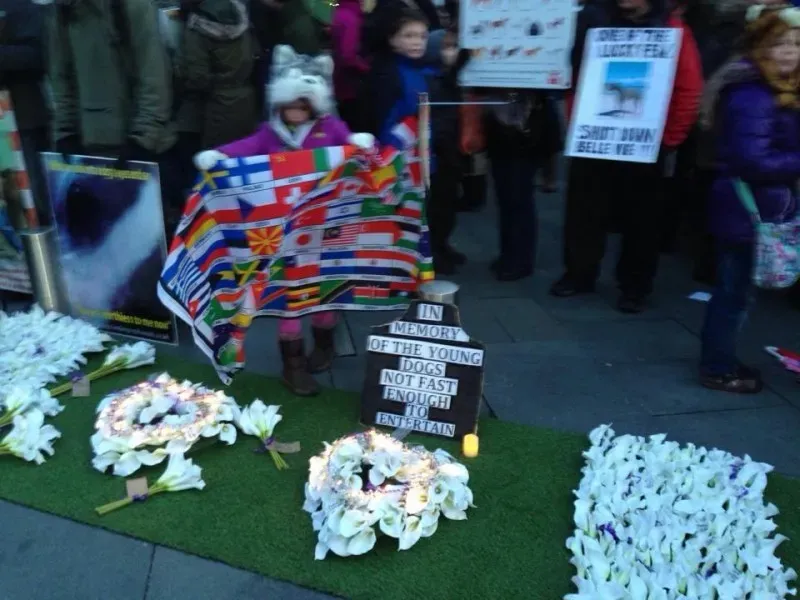 1743595 580599435364997 97507206 n