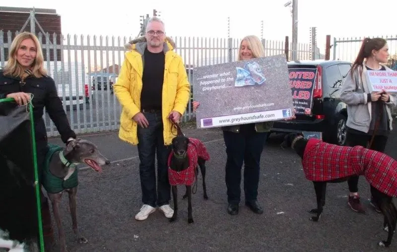 17458389 10210529738793991 5925996306296852188 n